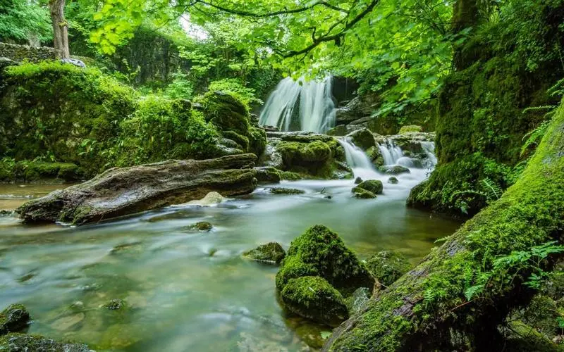 高端智能化高性能